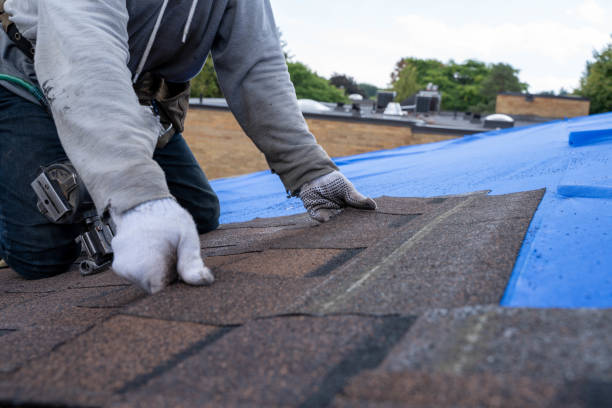 Best Hot Roofs  in Park City, KS
