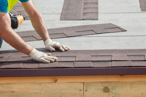 Best Skylight Installation and Repair  in Park City, KS